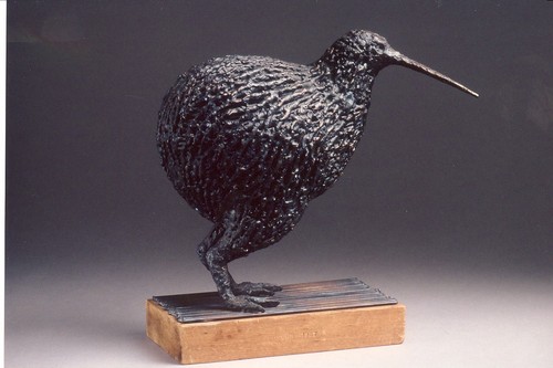 KIWI by norman holen