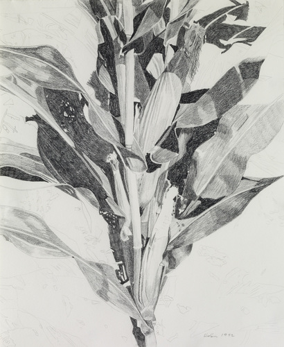 LATE SUMMER I by norman holen