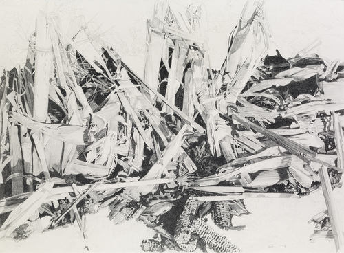 WINTER I by norman holen