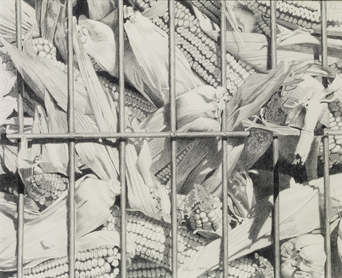 CORN CRIB by norman holen