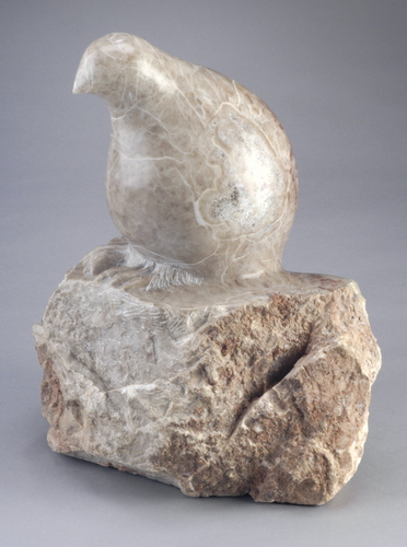 PTARMIGAN by deb zeller