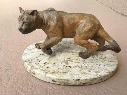 FLORIDA PANTHER by mark dahl FLORIDA PANTHER by mark dahl