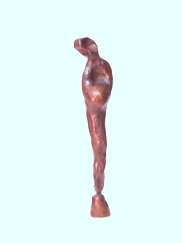 VENUS (11/2009) by branko gulin