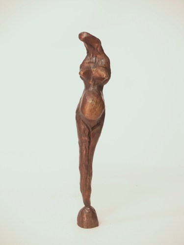VENUS (12/2009) by branko gulin