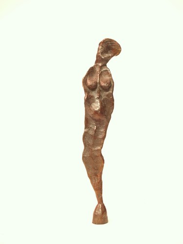 VENUS (16/2009) by branko gulin
