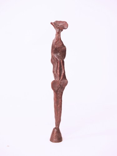 VENUS (19/2009) by branko gulin