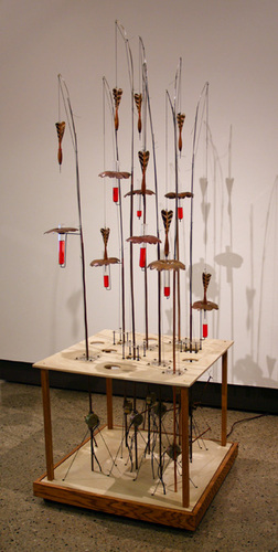 HUMMINGBOMBS by daniel saathoff 