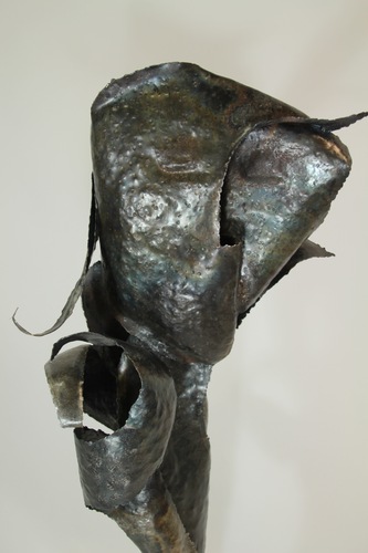  by addie motzko
