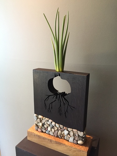 A GOOD YEAR FOR ONIONS by dennis kalow