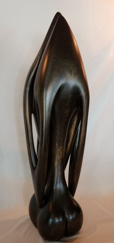 EMBRACE  by steven  hudak
