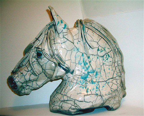 SHADOWFAX by donna williams
