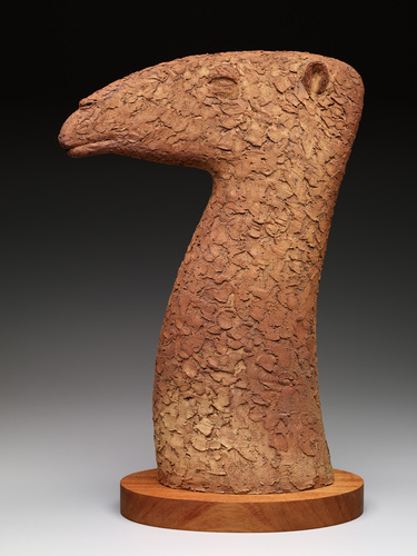 CAMEL by norman holen