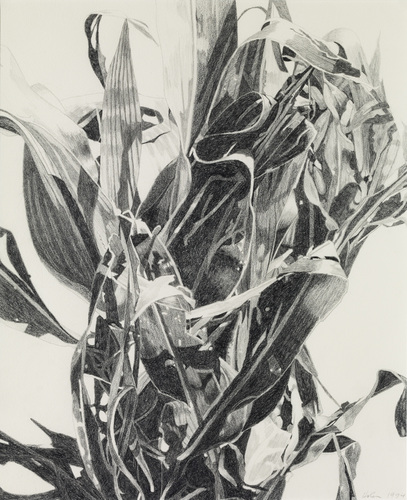 SUMMER III by norman holen