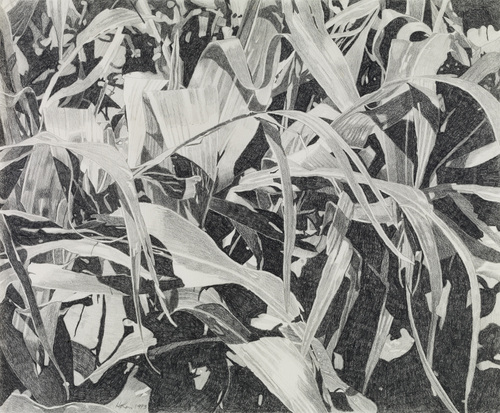 SUMMER I by norman holen