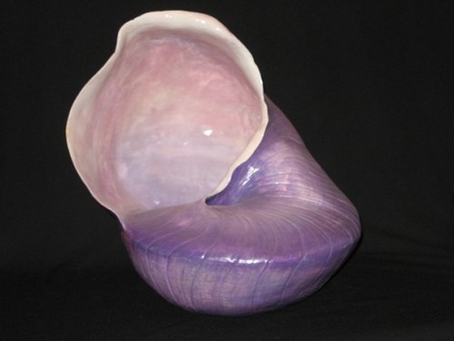 VESSEL ESCARGOT by melody villars