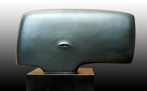 SPERM WHALE by dan and lee ross