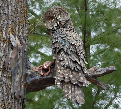 GREAT GREY OWL WITH FROG by paula jensen GREAT GREY OWL WITH FROG by paula jensen