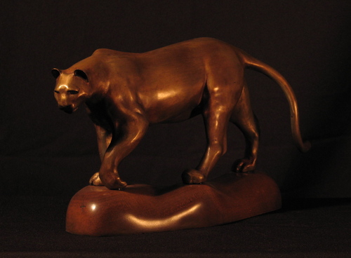 CAT by alec smith