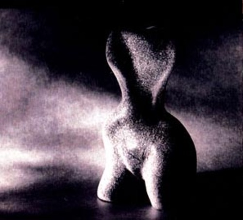  by marcella rose
