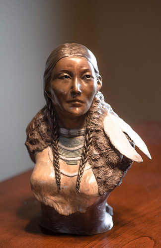 LAST LAKOTA ROBE by daniel purdy