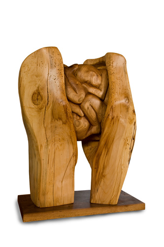 MINNESOTA TWINS by george moore