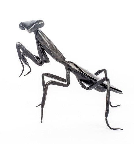 MANTIS by elizabeth belz