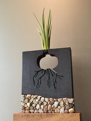 A GOOD YEAR FOR ONIONS by dennis kalow